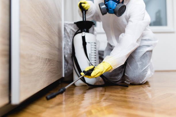 Best Bed Bug Extermination  in Somerset, KY