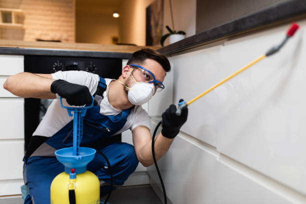Best Termite Control Services  in Somerset, KY