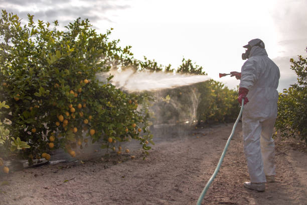 Best Commercial Pest Control Services  in Somerset, KY
