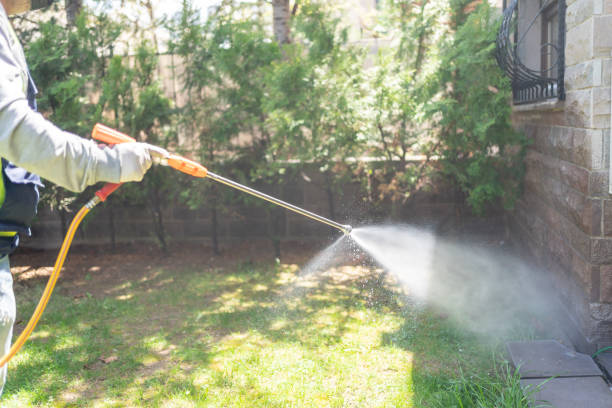 Best Affordable Pest Control Services  in Somerset, KY
