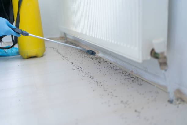 Best Emergency Pest Control  in Somerset, KY