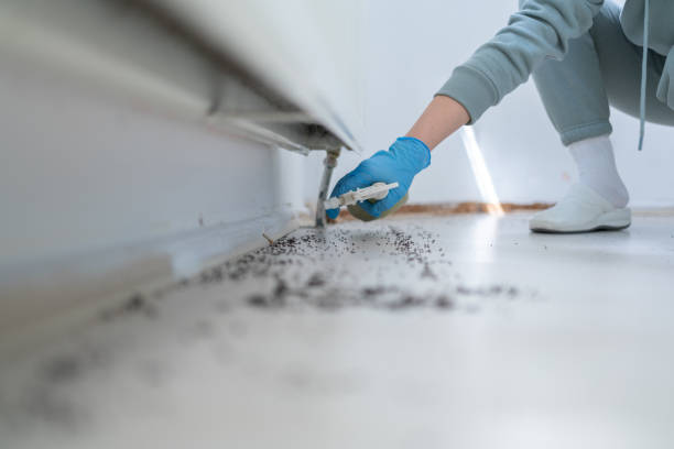 Best Pest Inspection Near Me  in Somerset, KY