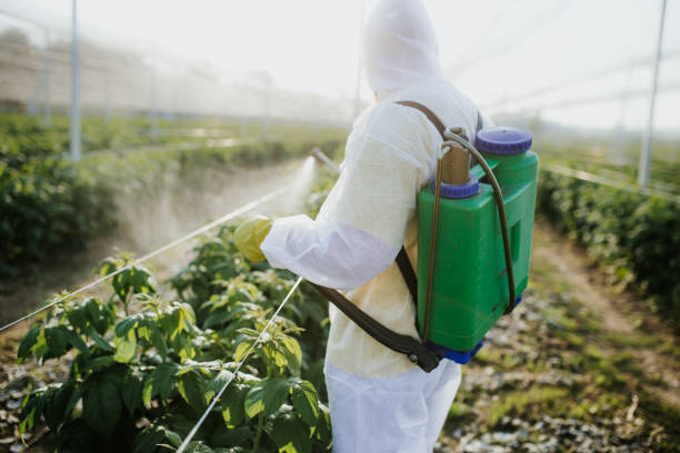 Best Wildlife Control Services  in Somerset, KY